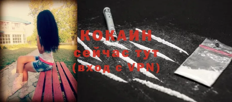 Cocaine Columbia Дмитровск